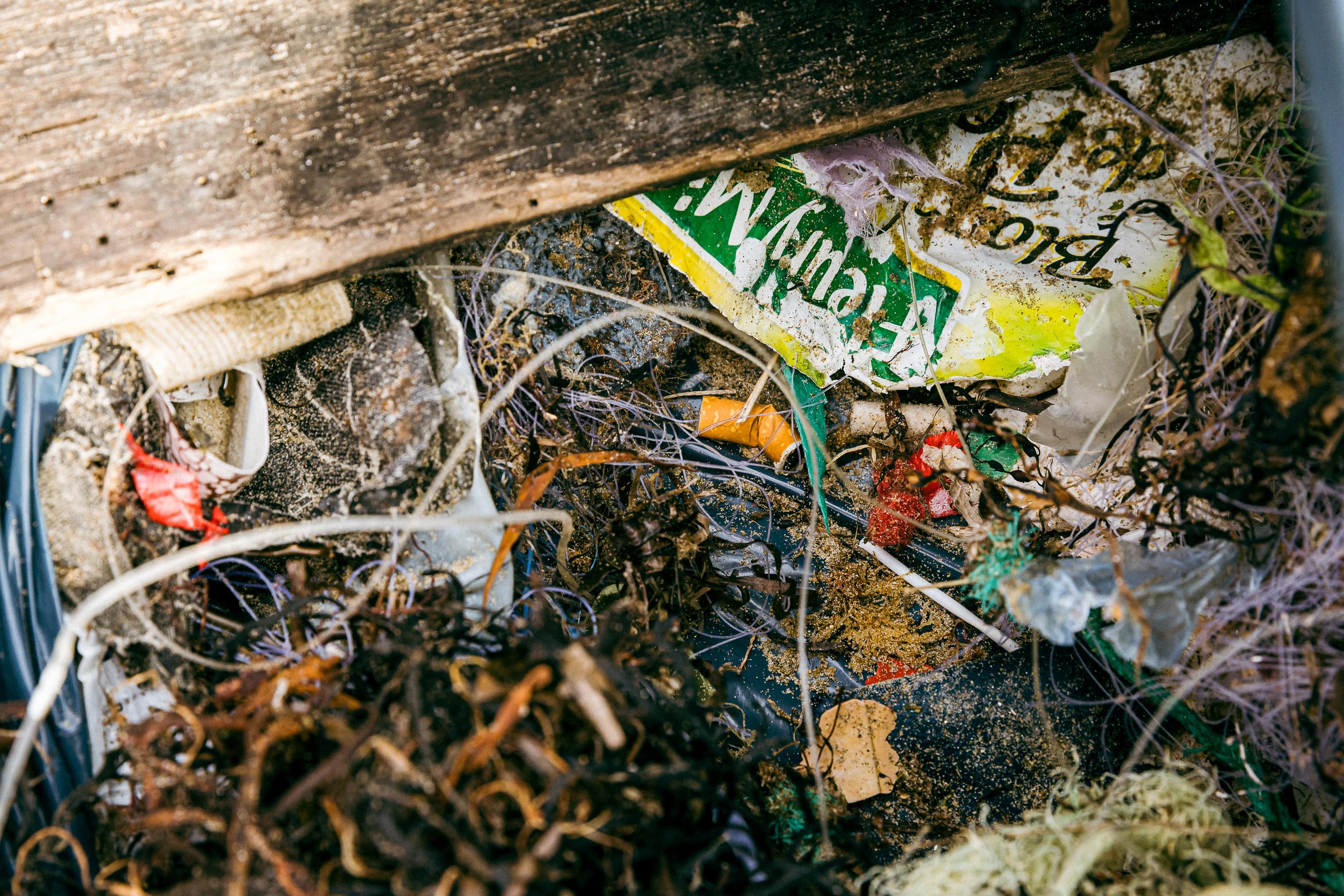 Défi Plastique 2024 : Mobilisation Hyundai pour la Collecte de Plastique